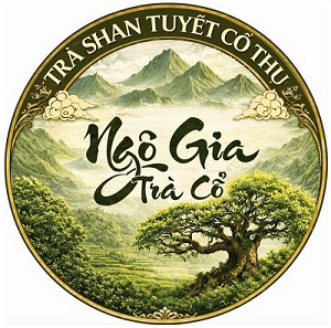 HỘ KINH DOANH NGÔ GIA TRÀ CỔ
