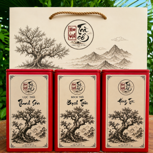 COMBO 3 LOẠI TRÀ